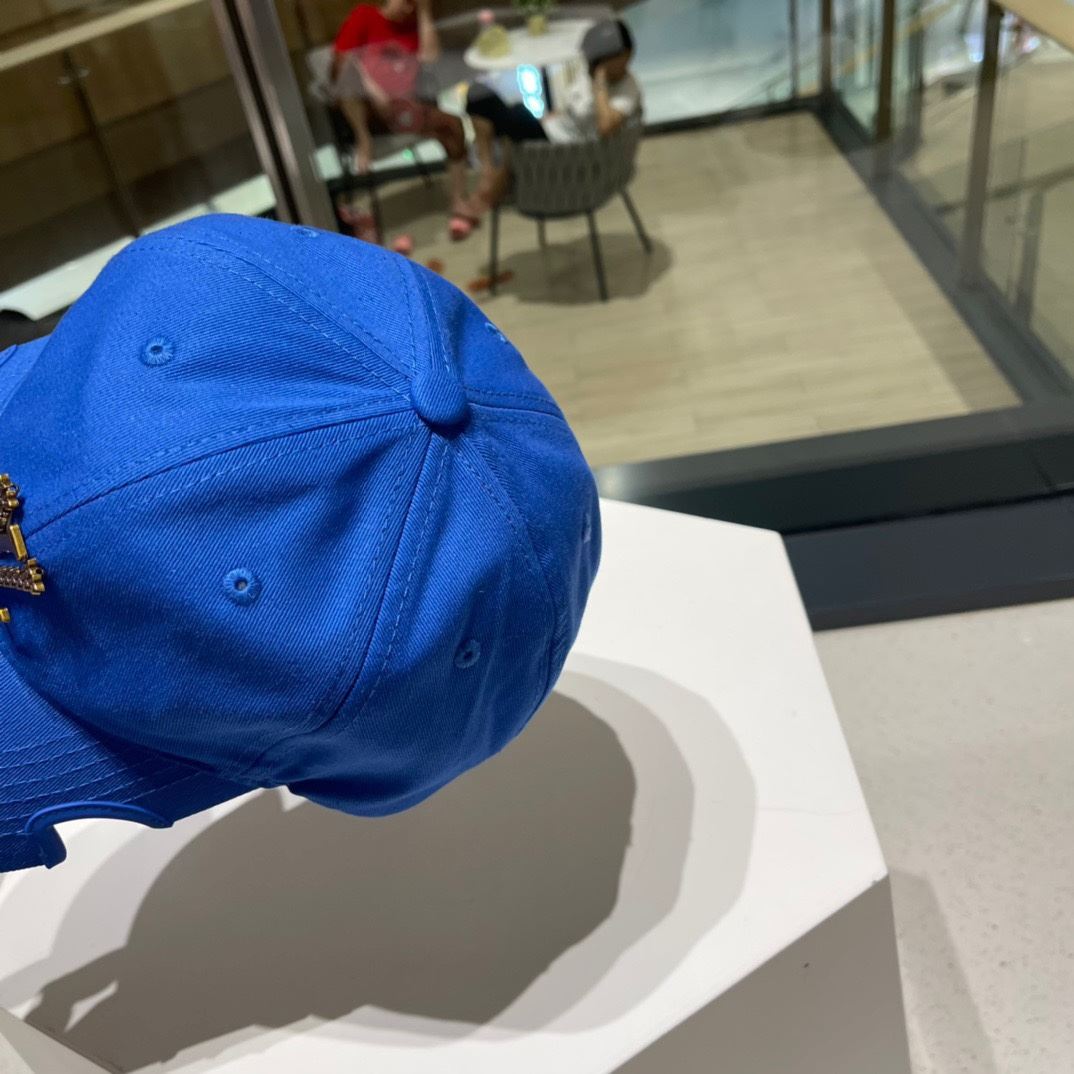 Louis Vuitton Caps